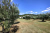 spring homes for sale in Italy on Gate-away.com