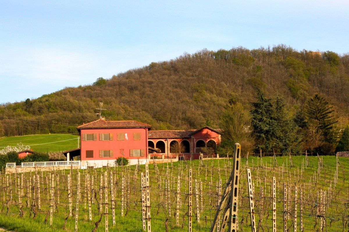 Azienda agricola in vendita 5 Stanze da letto a Rivanazzano Terme